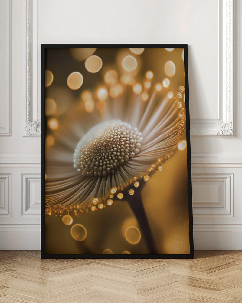 Golden Hour Poster